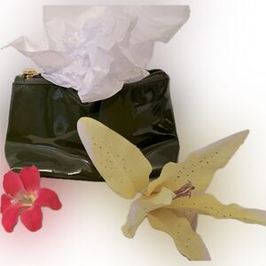 New! Never used! Estee Lauder green zippered makeup bag!